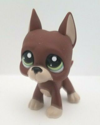 Littlest Pet Shop Lps Great Dane Puppy Dog Chocolate Brown Green Dot Eyes 1519