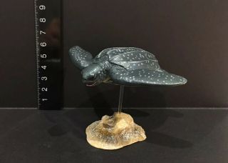 Colorata Kaiyodo Japan Exclusive Leatherback Sea Turtle Pvc Figure