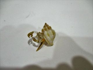 Blown Glass Hermit Crab Figurine In Real Murex Sea Shell Gold Claws And Legs