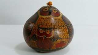 Peruvian Owl Gourd.  Hand Carved Hand Painted Container From Peru.  Vintage