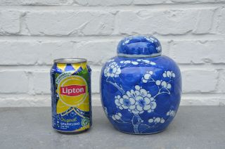 Antique Blue & White Chinese Prunus Blossom Ginger Jar Vase 5,  9 " Kangxi Mark