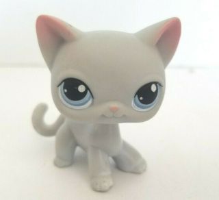 Littlest Pet Shop Lps Shorthair Kitty Cat Gray Grey Blue Dot Eyes 246