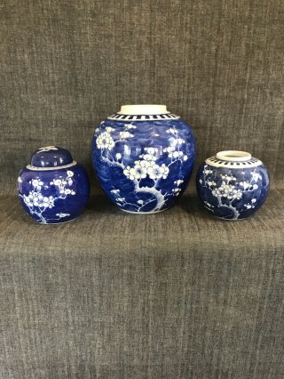 Antique Chinese B & W Prunus Ginger Jars (3)