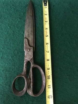 Antique Tool Colonial Hand Forged Sheep Shears Scissors 3