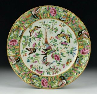 Antique Chinese Famille Rose Porcelain Plate 19th Century