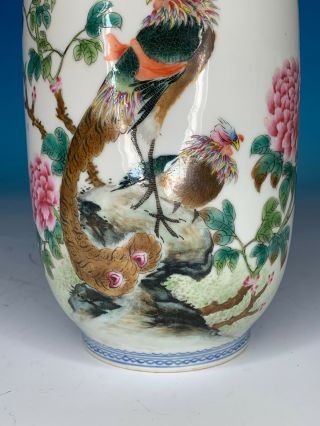 GREAT CHINESE MID - LATE REPUBLIC PERIOD ANTIQUE PORCELAIN VASE WITH BIRD 3