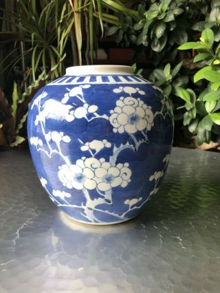 Chinese Qing Blue And White Prunus Ginger Jar - Large 17cm,  No Lid