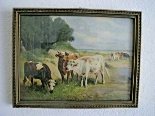 Nostalgic Vintage Cows Grazing Framed Picture From Antique Box Advertising