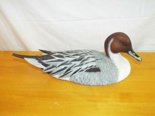 Pintail Detailed Hand - Painted Resin Limited Edition 1989 Jules A.  Bouillet Read