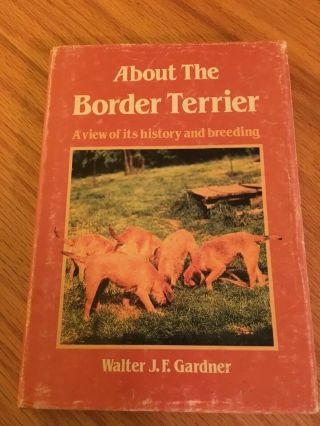 About The Border Terrier Dog