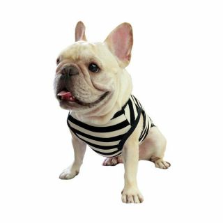 Frenchie Pet Clothing Classic Black White Stripe For French Bulldog Or Pug Fit