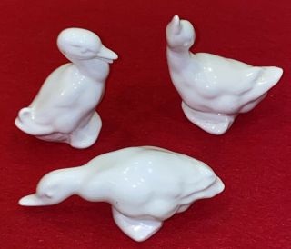 3 Vintage White Porcelain Ceramic Duck Geese Figurine 3.  25” To 4” Stamped Rc