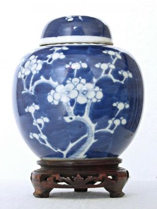Antique Chinese Blue & White Prunus Ginger Jar,  Kangxi Double Ring Mark 5 5/8 " H