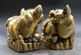 5.  9 " China Fengshui Brass Gild Zodiac Animal Pig Wealth Yuanbao Ruyi Statue Pair