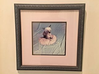 Chinese Crested Hairless Dog Sitting On Pillow Print Framed & Matted 15 " X15 "
