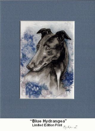 Greyhound Black Blue Hydrangea Signed Art Print Artist Kevin Z Arttogo