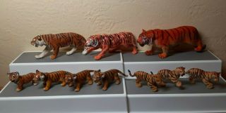 10 Vintage Pvc Safari And Aaa Jungle Zoo Tiger Tigress Cub Animal Figures