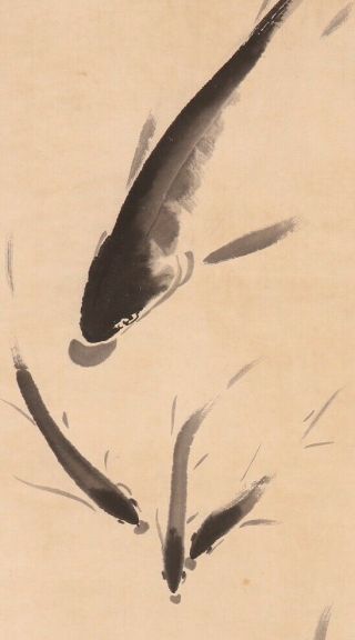 Chinese Painting Hanging Scroll China Antique Fish Old Picture Vintage D215