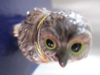 Curious Baby Owl Jeweled & Enamel Trinket Box Boutique Miniature 61142