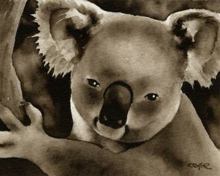 Koala Note Cards By Watercolor Artist Dj Rogers
