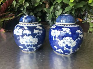 Antique Chinese Qing Blue Ad White Prunus Ginger Jars X 2 - No.  2 - Small