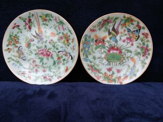 2 Antique (lot1) 19th Century Chinese Canton Celadon Plates Famille Rose Export