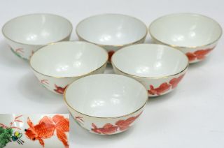 20th Chinese Chaozhou Gongfu Cha Teacups Porcelain Goldfish Tea Cups 工夫茶 潮州 茶杯