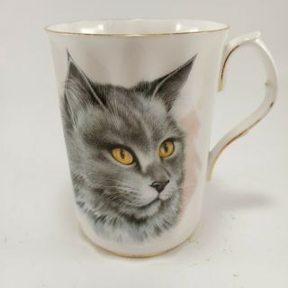 Vintage Fine Bone China Mug Cup Grey Cat Kitten Kitty 1970 Royal Windsor England