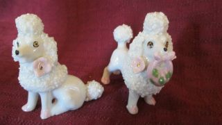 2 Vintage Miniature Ceramic Poodle Dogs Figurines Spaghetti Porcelain Flowers
