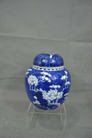 Antique Vintage Chinese Porcelain Blue & White Prunus Ginger Jar