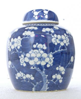 Antique Chinese Blue & White Prunus Ginger Jar,  Kangxi Double Ring Mark,  6 " H