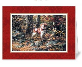 Set Of 10 Matching 5” X 7” Brittany Spaniel Note Cards