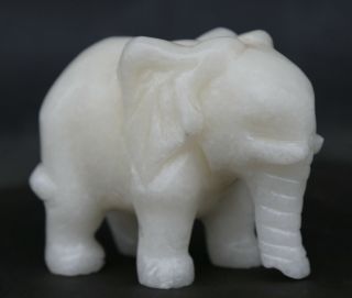 3.  3 " Chinese White Jade Hand Carving Fengshui Auspicious Elephant Small Statue