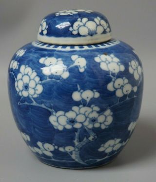 Good Old Antique 19th C Chinese Blue & White Prunus Pattern Ginger Jar Signed Nr