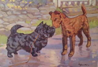 1951 Scarce Uk Dog Art Print Scottish And Irish Terrier Watercolor Ken Harrow