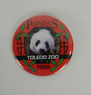 19888 Toledo Zoo " Panda " Big Metal Button 3.  5 "