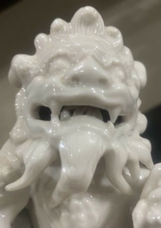 Antique White Porcelain Statue From Fujian,  China.  Lion/ Foo Dog With Cubs