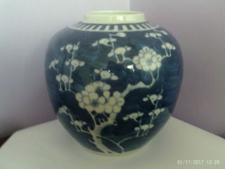 Fab Large Vintage Chinese Porcelain Prunus Tree Des Ginger Jar/pot 17.  5 Cms Tall