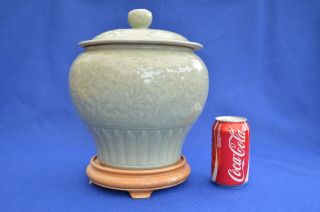 Large Chinese Celadon Porcelain Jar With Stand - Modern - Yuan/ming Style - Vase
