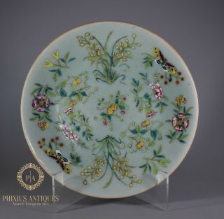 Antique Chinese Famille Rose Juane Enamels Celadon Plate