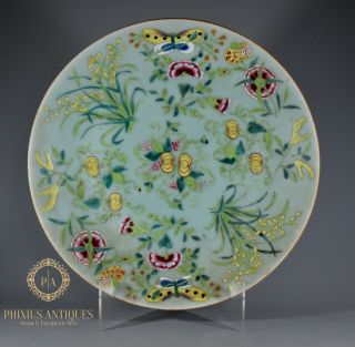 Large Antique Chinese Famille Rose Juane Enamels Celadon Plate