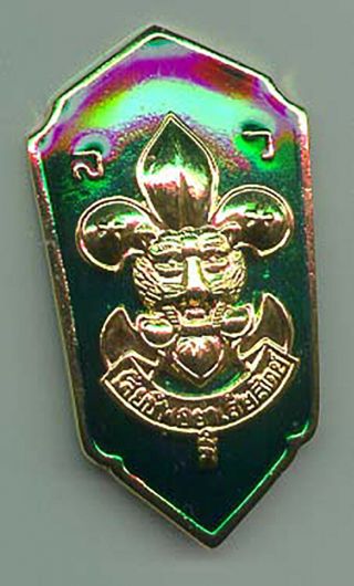 Scouts Of Thailand - Rover Scout Master / Leader (rsm Rsl) Rank Position Patch
