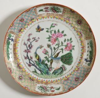 Antique Qing Chinese Export Famille Rose Porcelain Plate Peacocks Flowers Gold