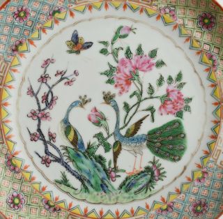 Antique Qing Chinese Export Famille Rose porcelain plate Peacocks Flowers Gold 3
