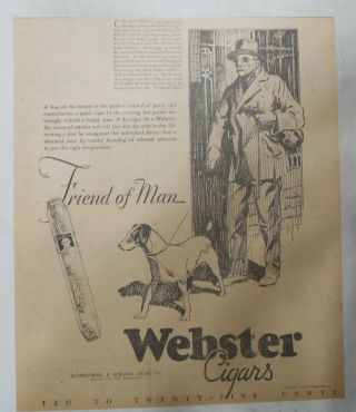Webster Cigars Ad: Dogs Friend Of Man " Seeing Eye Dog " 1928 Size: 11 X 13 Inches