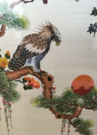 Fine Vintage Chinese /japanese Hand Embroidered Silk Panel - Eagle Signed Framed