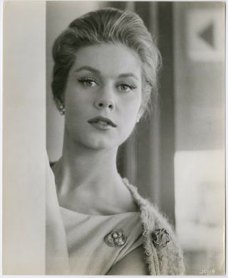 Elizabeth Montgomery In Johnny Cool 1963 Vintage Production Photograph
