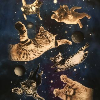 Feline Funny Kittens Cats Flying Ninja Outer Space T - Shirt - Odm Tie Dye - (xl)