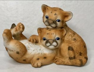 Curious Cougars Blue Eyes Playful Cubs Kittens Porcelain Artist Signed