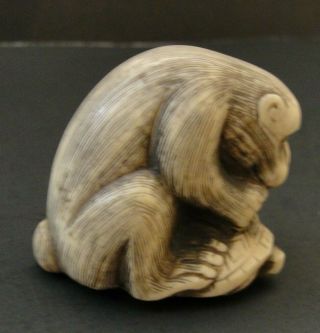 JAPANESE ANTIQUE MUSEUM QUALITY CARVED NETSUKE MONKEY AND TURTLE.  SIGNED 3